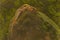 A Javan bent-toed gecko preying on a mole cricket on a rock overgrown with moss.