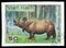 Javan Rhinoceros (Rhinoceros sondaicus), World wild animals serie, circa 1981
