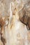 Javoricko stalactite cave