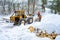 Jaworki, Poland - January 26, 2019; Forestry tractor and woodcutters during the export of wooden logs from the mountain forest