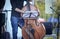 Jazz musician plays contrabass 2