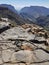 Jebel Akhdar in Oman, Green Canyon and blue sky