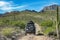Jeep car in baja california landscape panorama desert road with cortez sea on background