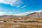 Jeep chasing a herd of horses in the steppe,