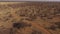 A jeep with an open trunk travels across the savannah of Namibia.