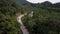 jeep riding on asphalt road in a beautiful lush green jungle