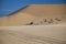 Jeep Safari SUVs on the white dunes of Vietnam,white dunes of Vietnam, near the city of Mui Ne, wheel tracks from jeep ride