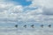 Jeep in the salt lake salar de uyuni, bolivia