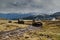 Jeeps driving on muddy surface