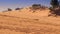 Jeeps Run down in Sand Racing Disappear in Sand Dunes