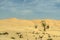 Jeeps traditional Safari Dune Bashing tourists Oman Ubar Desert Rub al Khali 7