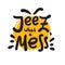 Jeez what a mess - funny inspire motivational quote, slang. The emotional exclamation.