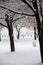 Jefferson Barracks National Cemetery