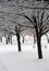 Jefferson Barracks National Cemetery