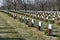 Jefferson Barracks National Cemetery Wreaths Across America