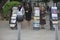 Jehovah`s Witnesses standing outdoors and advertising the bible
