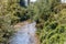 Jeker river among abundant lush wild vegetation