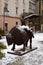 Jelenia Gora, Poland,  December 15, 2018: Metal monument by sculptor Bego Rape of Europe bull, on square at Pocztowa Street and 1