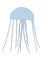 Jellyfish animal