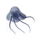 Jellyfish, Beautiful Grey Swimming Marine Underwater Creature Vector Illustration