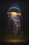 Jellyfish on black background, full bioluminescent jellyfish