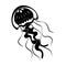 Jellyfish. Black and white tropical underwater fauna. Isolated on white. Underwater world.