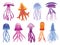 Jellyfish collection. Sea wildlife and ocean fauna concept, aquatic underwater or undersea animals. Creative different