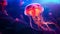 Jellyfish dansing in the dark blue ocean water. Glowing jellyfish swim deep in blue sea