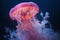 Jellyfish are fascinating creatures that belong to the phylum Cnidaria.