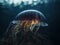 jellyfish glowing in underwater