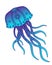 Jellyfish. Graceful jellyfish - vector full color picture. Patterned Jellyfish in blue and violet colors - marine illustration. Th