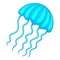 Jellyfish icon, cartoon style