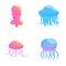 Jellyfish icons set cartoon vector. Various colorful jellyfish