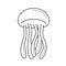 Jellyfish line icon.