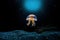 Jellyfish with long tentacles in deep sea
