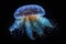 Jellyfish in the Ocean Depths