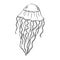 Jellyfish outline hand-drawn doodle marine sketch, underwater jelly fish illustration, medusa line art drawing animal