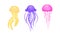 Jellyfish or Sea Jelly as Marine Animal with Umbrella-shaped Bell and Tentacles Vector Set