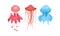 Jellyfish or Sea Jelly as Marine Animal with Umbrella-shaped Bell and Tentacles Vector Set