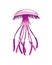 Jellyfish. Sea wildlife or ocean fauna concept. Aquatic underwater or undersea animal. Creative medusa flat icon for web