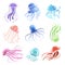 Jellyfish Set, Beautiful Colorful Swimming Marine Underwater Creatures Vector Illustration