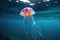 jellyfish suspended in clear, blue ocean water