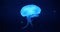 Jellyfish swims underwater in bright light against dark blue background