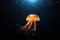 Jellyfish with tentacles floating in ocean
