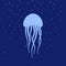 Jellyfish under water. Marine life