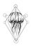 Jellyfish vector illustration. Sacred geometry style
