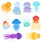 Jellyfish vector ocean jelly-fish and underwater nettle-fish illustration set of jellylike glowing medusa in sea