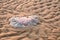 Jellyfish washed up on the shore of the Mediterranean Sea.
