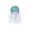 Jellyfish watercolor illustration. Medusa painting isolated on white background