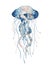 Jellyfish watercolor illustration. Painted medusa isolated on white background, underwater wildlife.